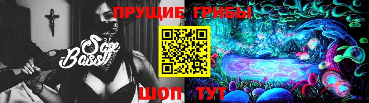 наркошоп  Вход с VPN  Тихвин  Псилоцибиновые грибы Psilocybe 
